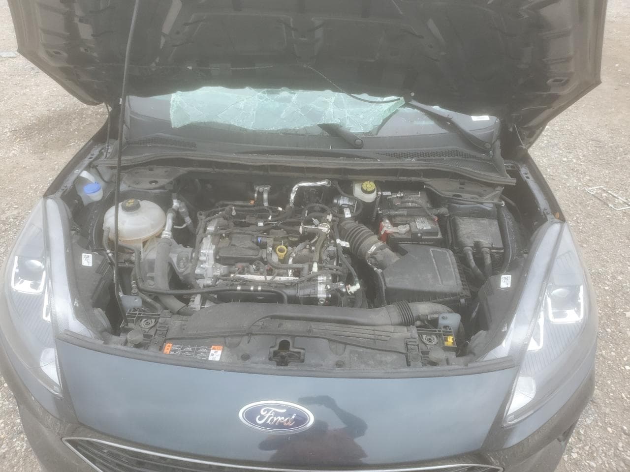 2022 FORD ESCAPE SE