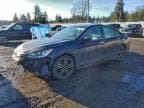 2017 HONDA ACCORD SPO SPORT SPECIAL EDITION