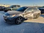 2017 HONDA ACCORD SPO SPORT SPECIAL EDITION