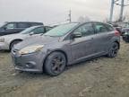 2014 FORD FOCUS SE SE