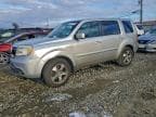 2013 HONDA PILOT EX