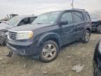 2015 HONDA PILOT EXL EXL