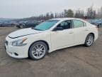 2010 NISSAN MAXIMA S