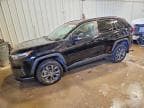 2023 TOYOTA RAV4 XLE P