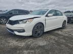 2017 HONDA ACCORD SPO SPORT SPECIAL EDITION