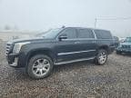 2016 CADILLAC ESCALADE E ESV LUXURY