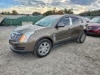 2014 CADILLAC SRX LUXURY LUXURY COLLECTION