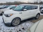 2017 KIA SOUL + +