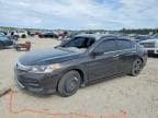 2016 HONDA ACCORD SPO SPORT