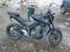2025 YAMAHA MTN320 A