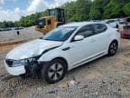 2013 KIA OPTIMA HYB