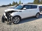 2016 KIA SOUL + +