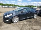 2013 HYUNDAI SONATA HYB