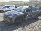 2025 SUBARU OUTBACK ON