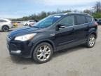2016 FORD ESCAPE TIT TITANIUM