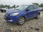 2014 FORD ESCAPE TIT TITANIUM