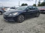 2017 HONDA ACCORD EXL