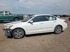 2011 HONDA ACCORD LXP LXP