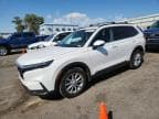 2025 HONDA CR-V EXL