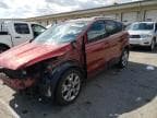 2014 FORD ESCAPE TITANIUM TITANIUM