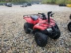 2025 HONDA TRX250 TM