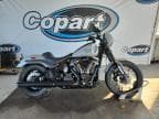 2025 HARLEY-DAVIDSON FXLRS