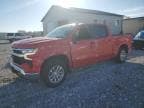 2023 CHEVROLET SILVERADO