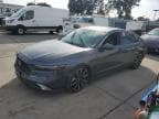 2025 HONDA ACCORD TOU