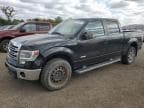 2013 FORD F150 SUPER