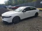 2023 HONDA ACCORD HYB