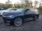 2025 LEXUS TX 350 BAS