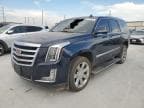 2019 CADILLAC ESCALADE P
