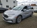 2023 HONDA ODYSSEY EX