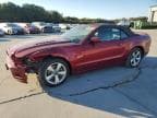 2014 FORD MUSTANG GT GT