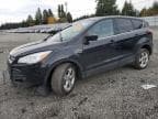 2014 FORD ESCAPE SE SE