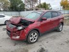 2014 FORD ESCAPE SE SE