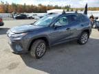 2025 TOYOTA RAV4 XLE P