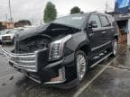 2015 CADILLAC ESCALADE PLATINUM PLATINUM