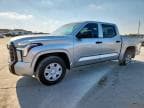 2025 TOYOTA TUNDRA
