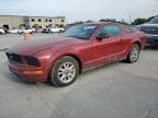 2008 FORD MUSTANG