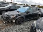 2023 SUBARU OUTBACK WI