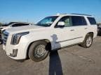2019 CADILLAC ESCALADE P