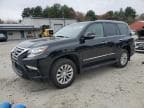 2019 LEXUS GX 460