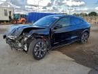 2023 FORD MUSTANG MA