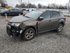 2015 TOYOTA RAV4 XLE XLE