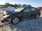 2013 HYUNDAI SONATA HYB