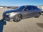 2017 HONDA ACCORD SPO SPORT SPECIAL EDITION