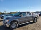 2013 FORD F150 SUPER