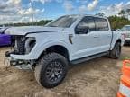 2025 FORD F150 TREMO