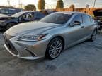 2019 LEXUS ES 300H